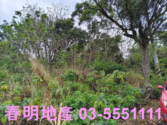 香山農地_水利地-5