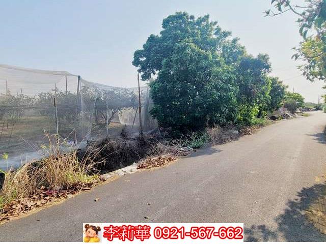 高雄燕巢農地-2