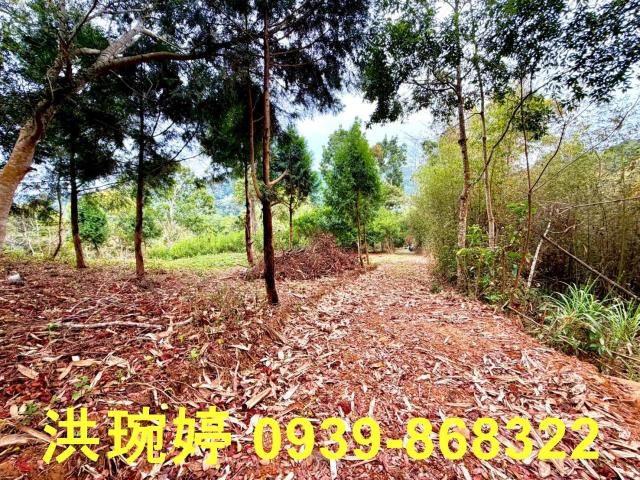 南投國姓農地_山坡地-1