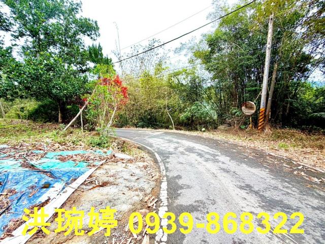 南投國姓農地_山坡地-2