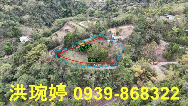 南投國姓農地_山坡地-3