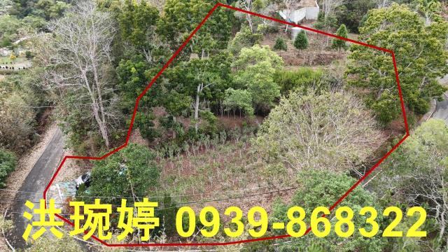 南投國姓農地_山坡地-4