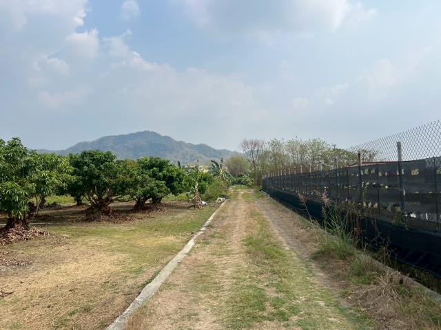 高雄美濃農地-7