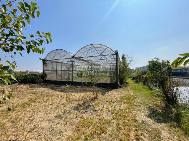 嘉義民雄農地_建地-5