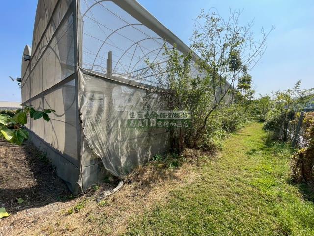 嘉義民雄農地_建地-6