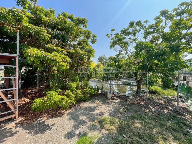 嘉義民雄農地_建地-7