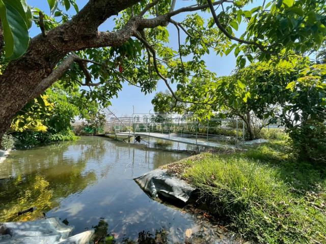 嘉義民雄農地_建地-8