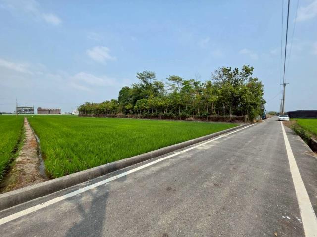 台南六甲農地-9