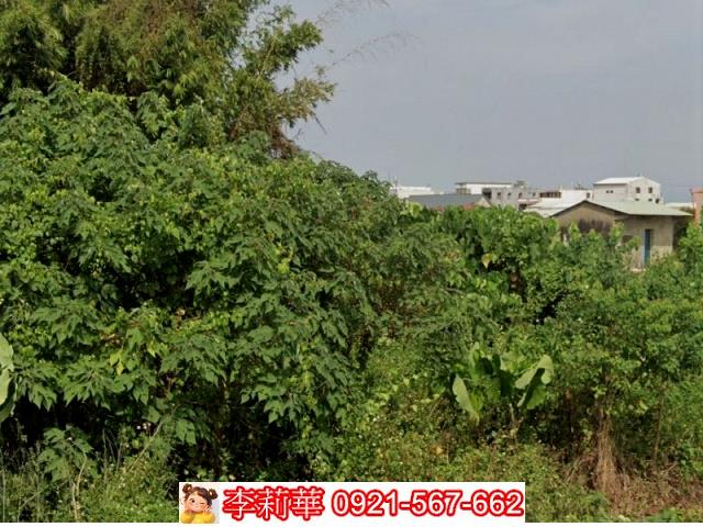 台南下營建地-6