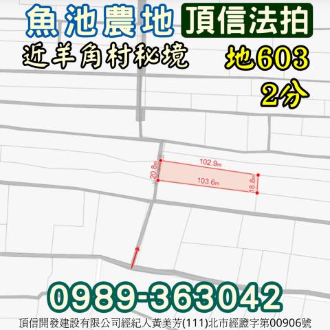 魚池農地_休閒地法拍-2