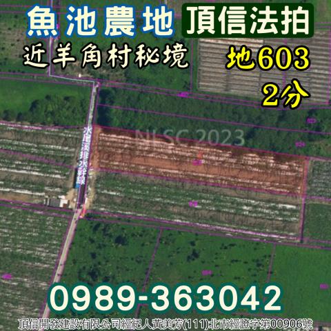 魚池農地_休閒地法拍-3