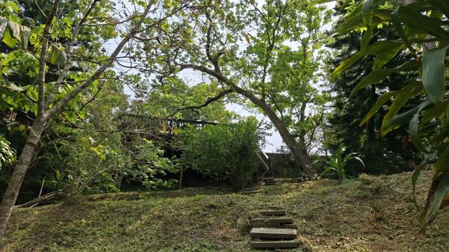 峨眉農地_山坡地-10