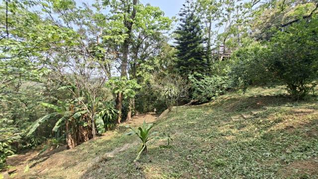 峨眉農地_山坡地-12