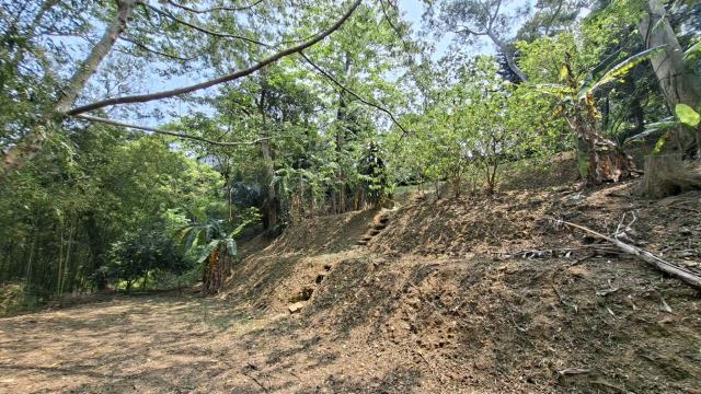 峨眉農地_山坡地-15