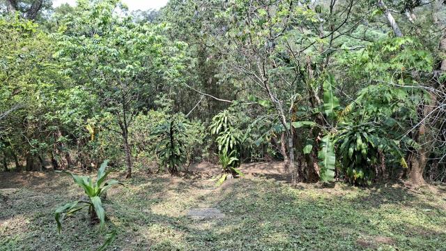 峨眉農地_山坡地-6