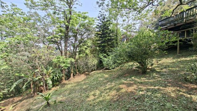 峨眉農地_山坡地-7