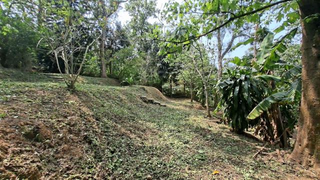 峨眉農地_山坡地-9