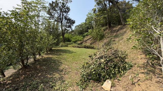 新竹北埔農地_山坡地-11