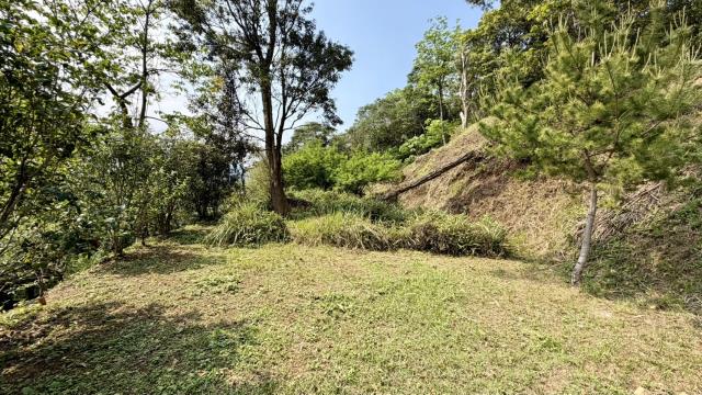 新竹北埔農地_山坡地-12