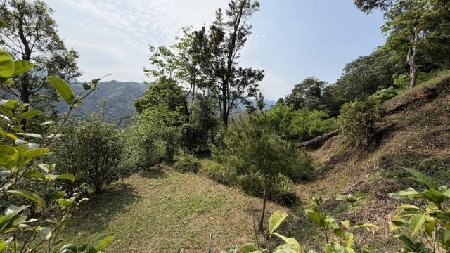 新竹北埔農地_山坡地-13