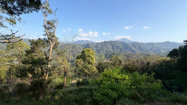 新竹北埔農地_山坡地-15