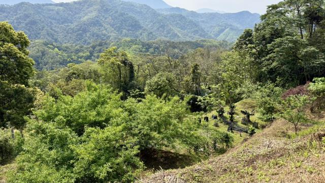 新竹北埔農地_山坡地-3