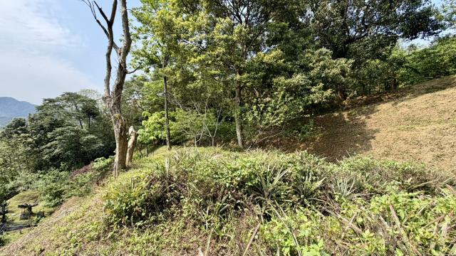 新竹北埔農地_山坡地-4