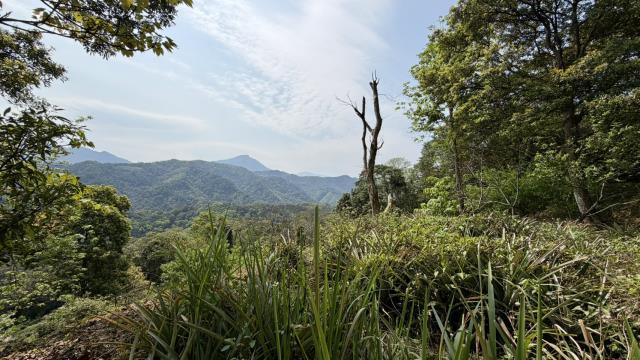 新竹北埔農地_山坡地-6