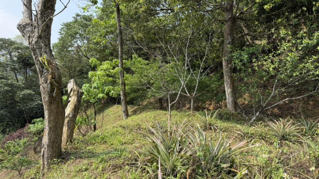 新竹北埔農地_山坡地-7