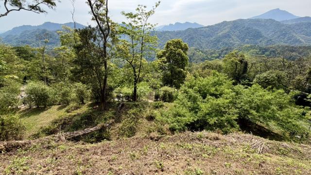 新竹北埔農地_山坡地-8