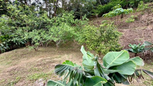 新竹北埔農地-10