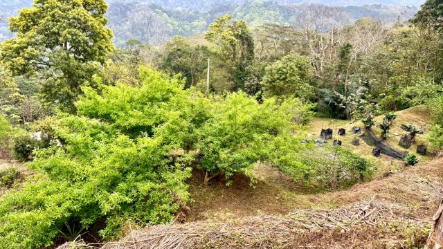 新竹北埔農地-12