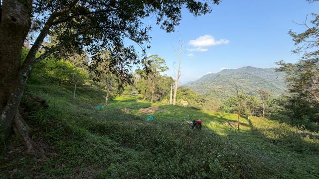 新竹北埔農地-7