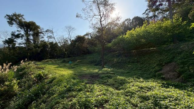 新竹北埔農地-9