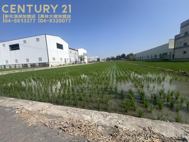 彰化埔鹽農地-3