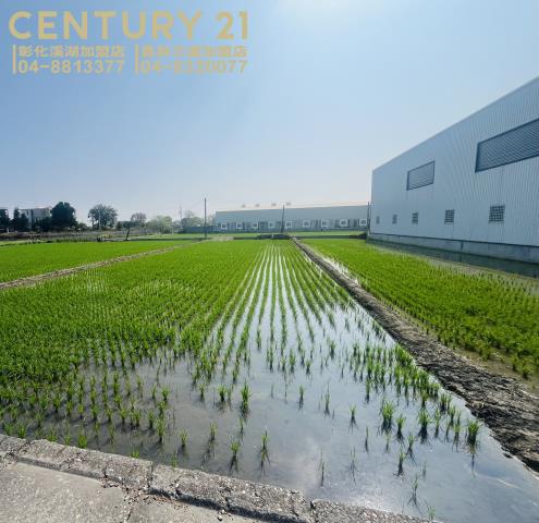 彰化埔鹽農地-1