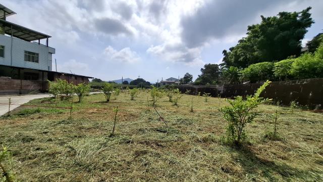 台中石岡農地_休閒地-4