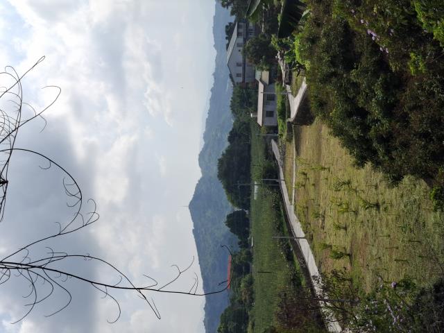 台中石岡農地_休閒地-8