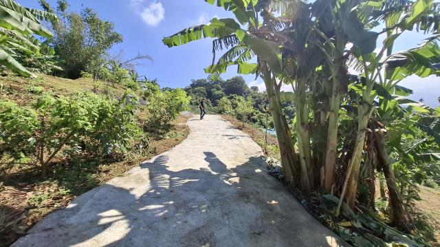 台中東勢農地_休閒地-9