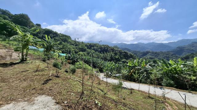 台中東勢農地_休閒地-10