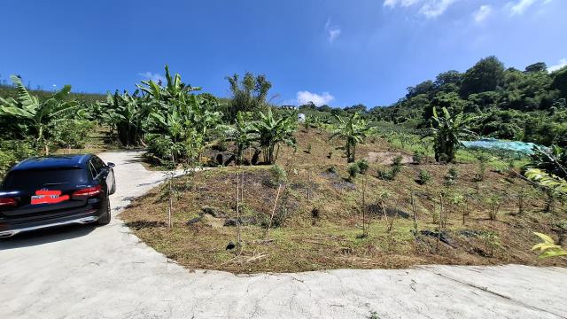 台中東勢農地_休閒地-12