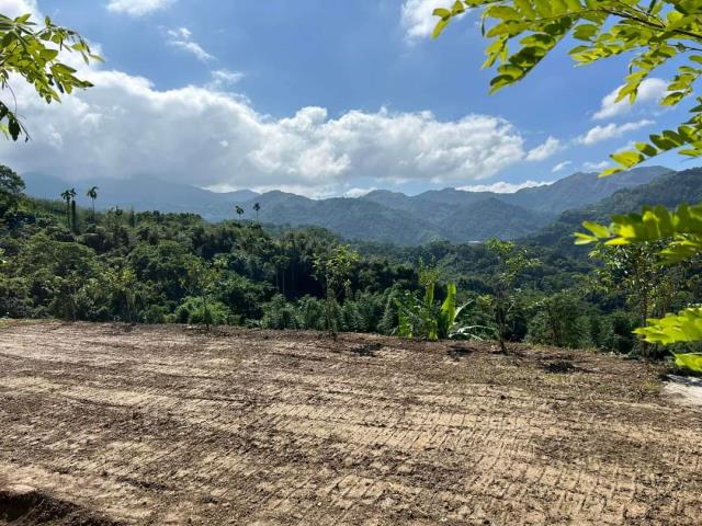 台中東勢農地_休閒地-1