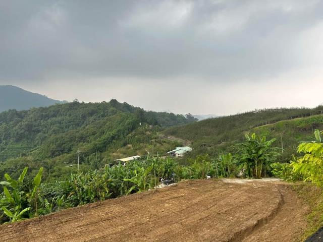 台中東勢農地_休閒地-2