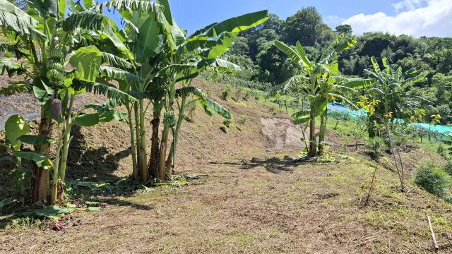 台中東勢農地_休閒地-3