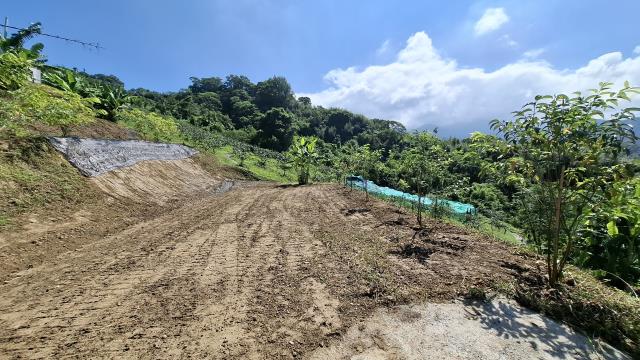 台中東勢農地_休閒地-5