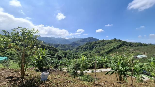 台中東勢農地_休閒地-6