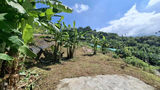 台中東勢農地_休閒地-8