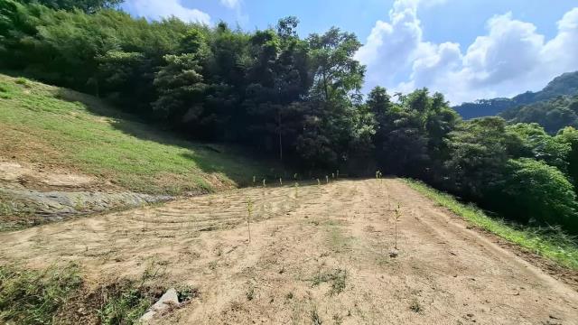 台中東勢農地_休閒地-2