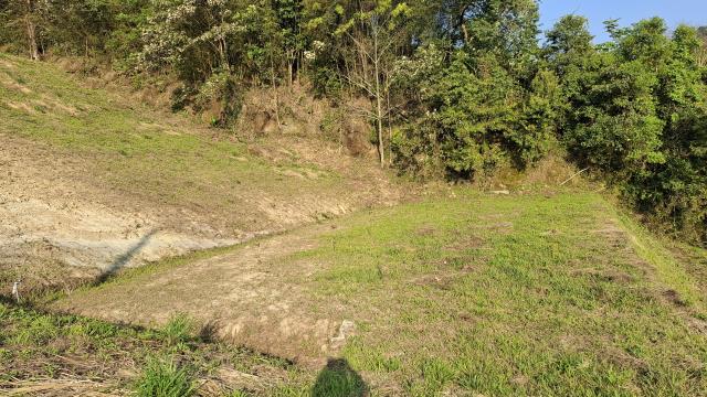 台中東勢農地_休閒地-8