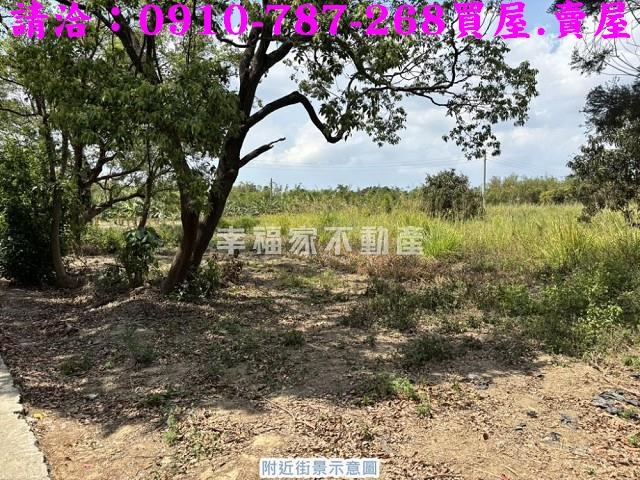 台南關廟農地-9